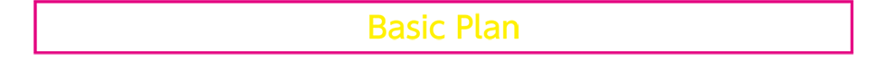 Basic Plan